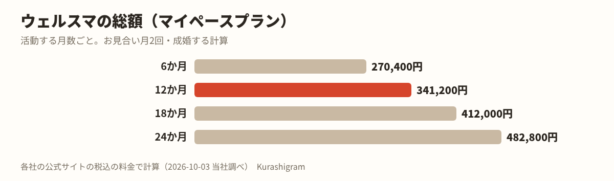 ウェルスマの料金。活動する月数ごとの総額