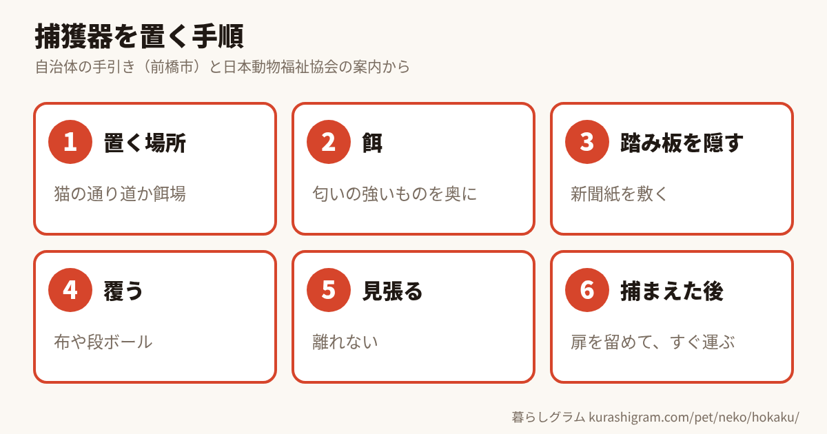 捕獲器を置く手順(場所・餌・踏み板・覆い・見張り・捕まえた後)