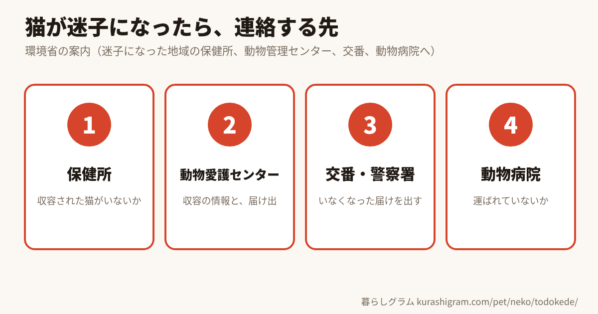 猫が迷子になったら連絡する先(保健所・動物愛護センター・交番や警察署・動物病院)