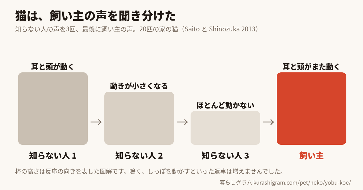誰が呼ぶと、猫は反応するか